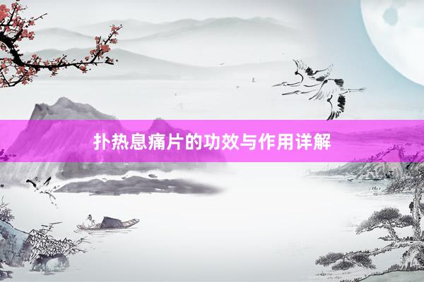 扑热息痛片的功效与作用详解