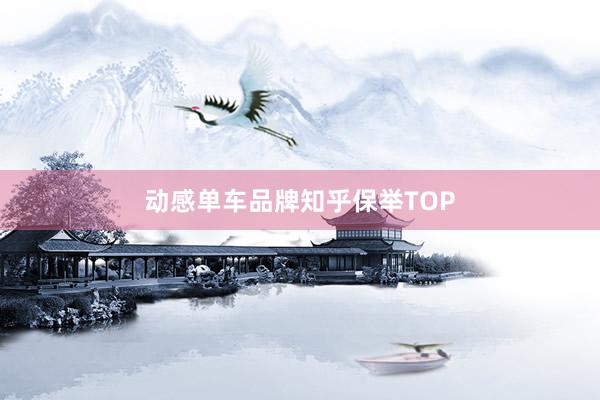 动感单车品牌知乎保举TOP